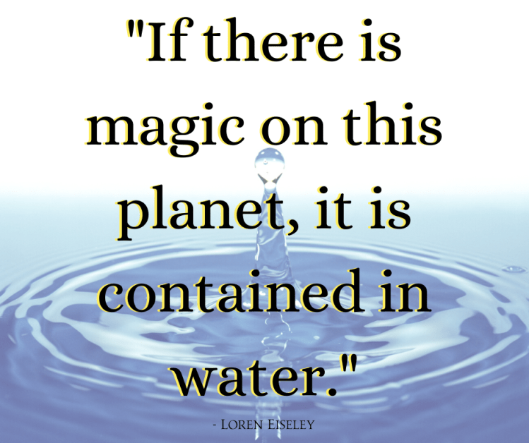 water drop, magic of water