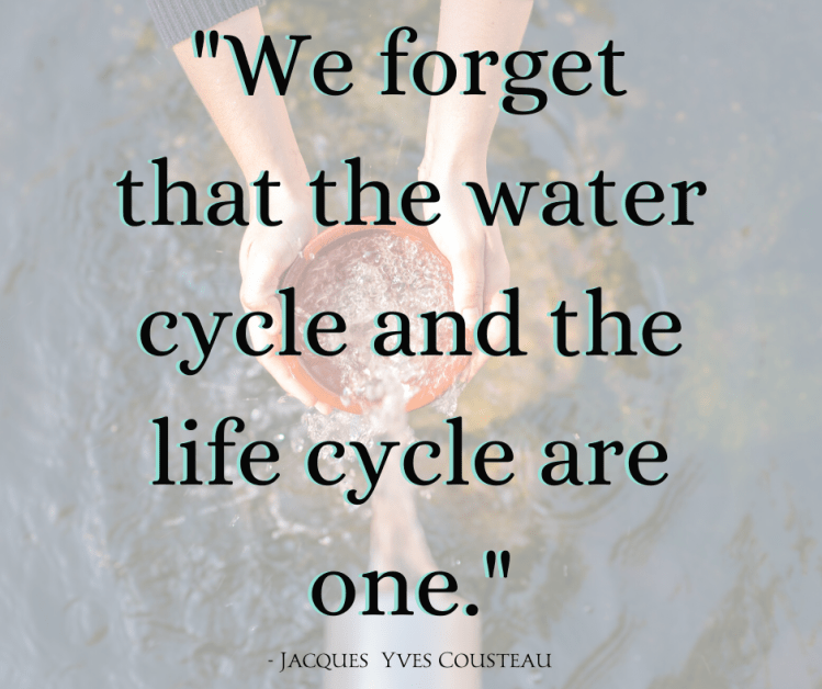 clean water in pot, fresh water